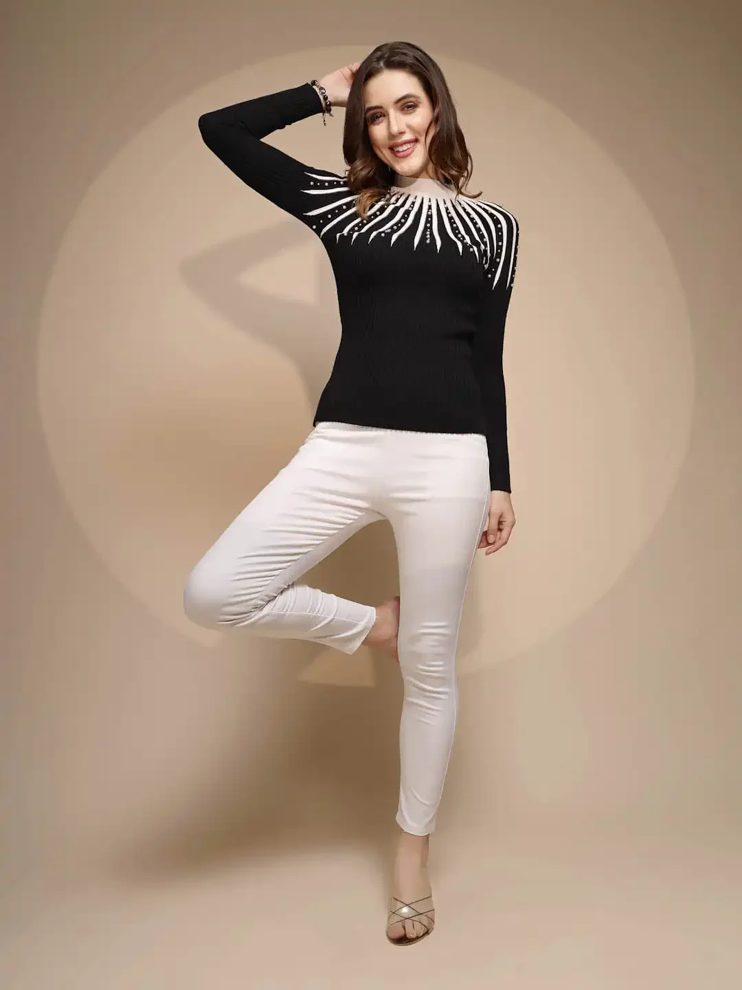 Black Solid Turtleneck Regular Fit Pullover